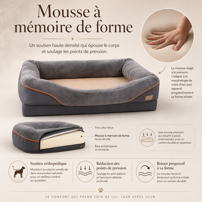 Panier Orthopédique Premium pour Chien — Mousse à Mémoire de Forme XXL